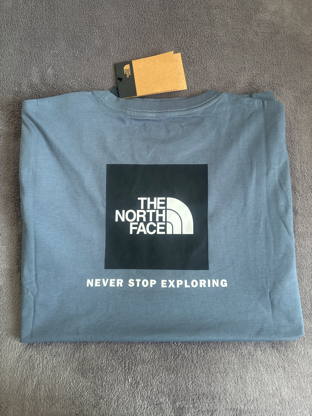 T-shirt THE NORTH FACE homme bleu